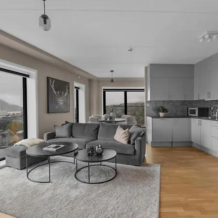 The View - Center With Spectacular Views 公寓 特罗姆瑟